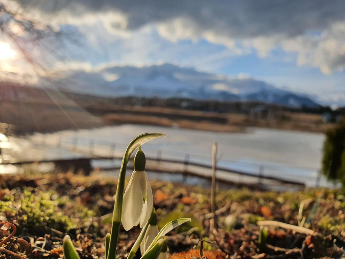 Chatka Panorama Mlynceky Dış mekan fotoğraf